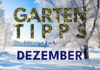Garten_Tipps_Vorschau_News_Winter